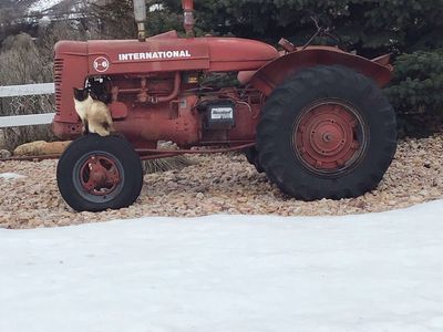International Harvester tractor