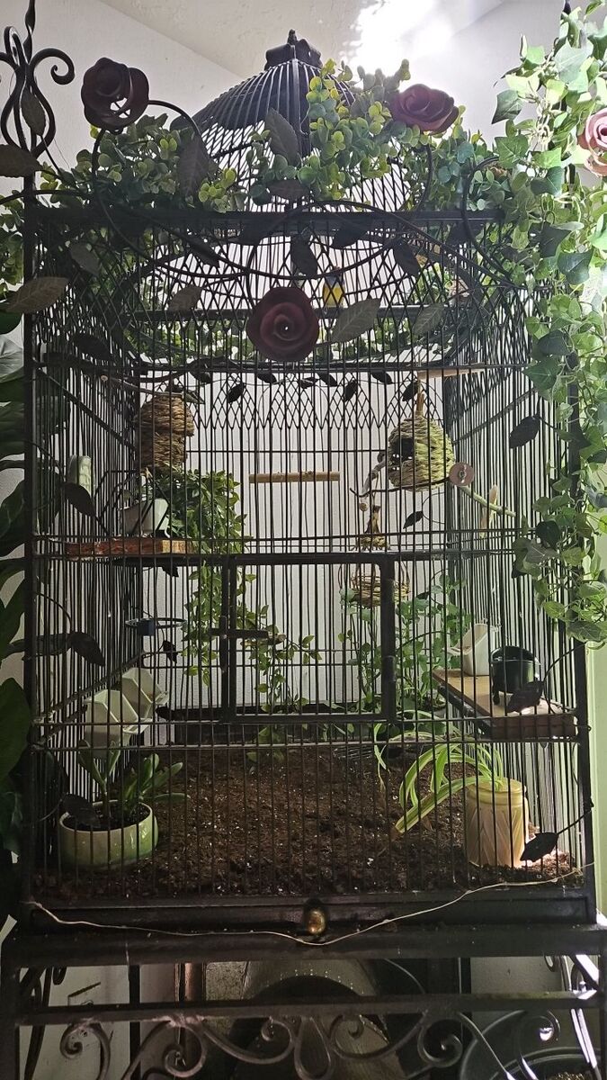 9 ft Iron Birdcage