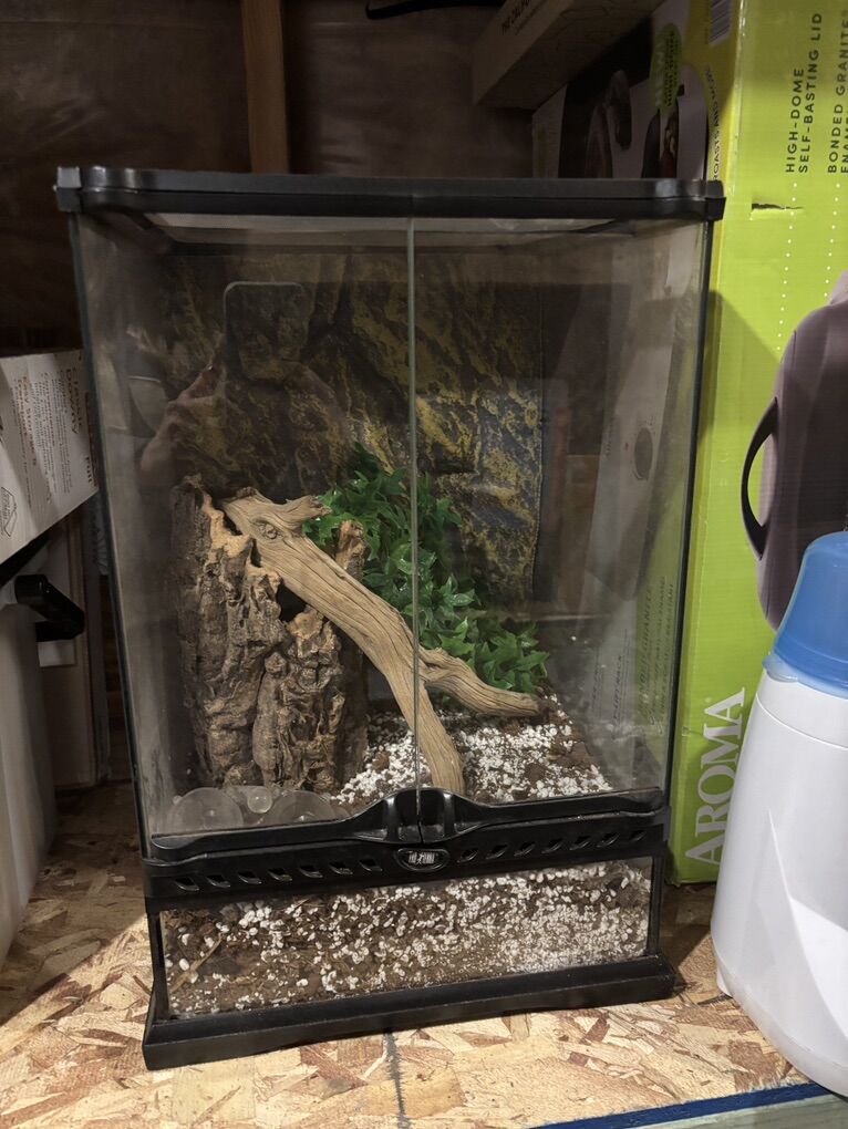 Reptile Terrarium