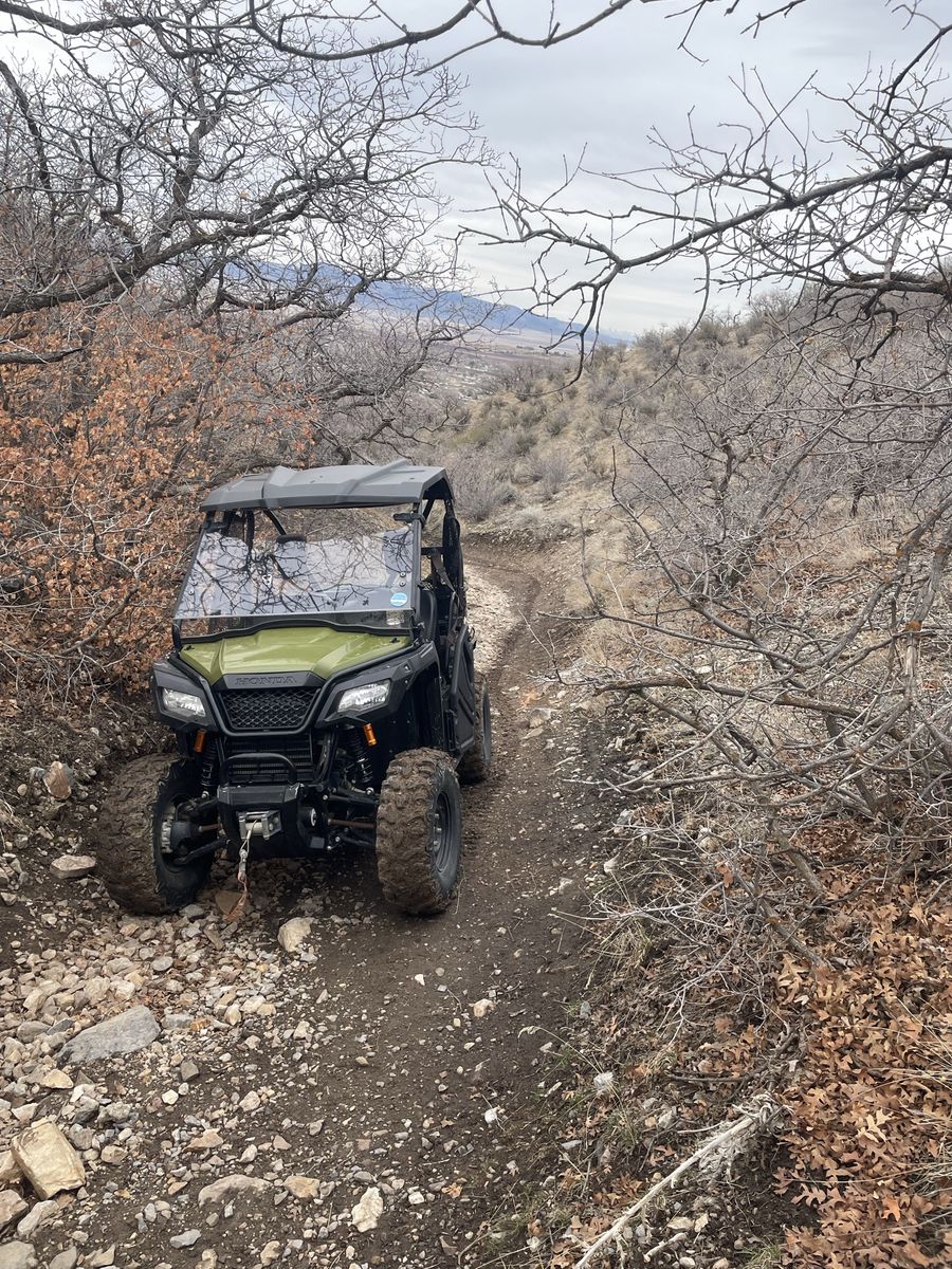 2018 pioneer 500