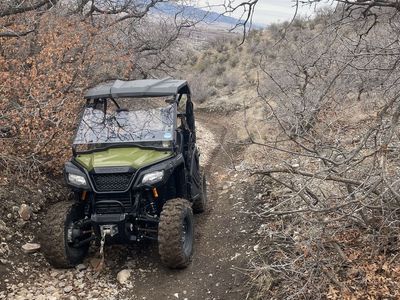 2018 pioneer 500