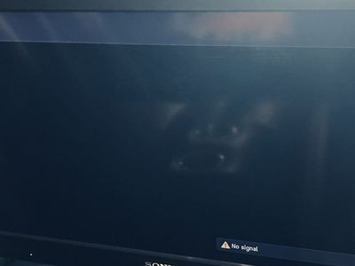 Sony KDL-32L5000 32-inch BRAVIA LCD TV - Used-Works well. NO REMOTE.