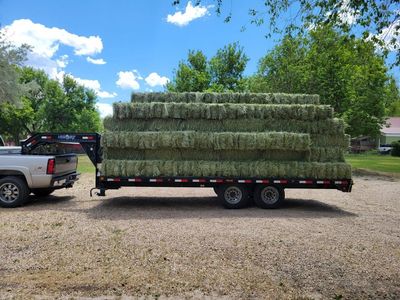 PREMIUM Grass Hay 2026 first crop.