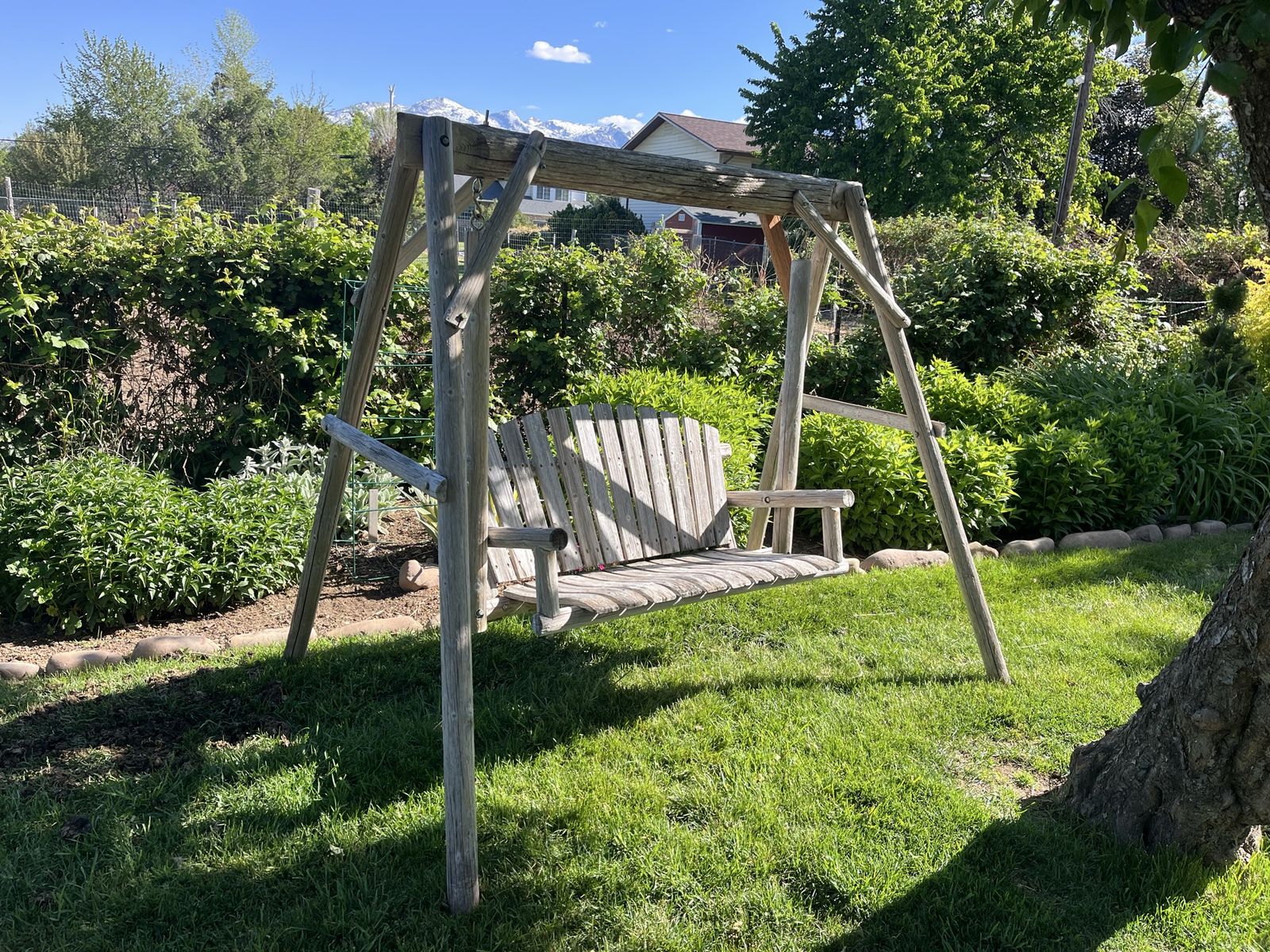 Backyard swing