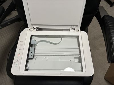 Canon PIXMA MG2522 All-in-One Printer