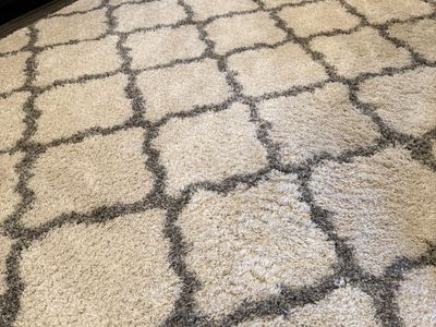 Area Rug