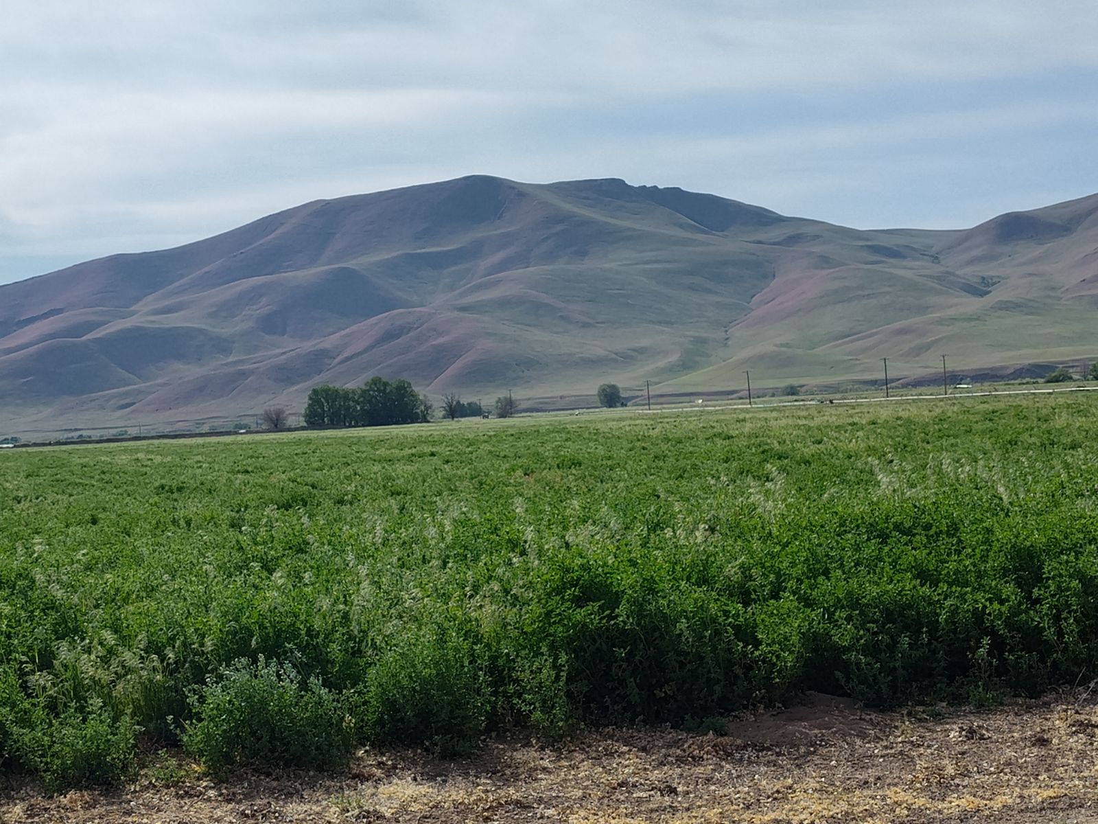 Farm for sale, abundant water, peaceful, secluded location