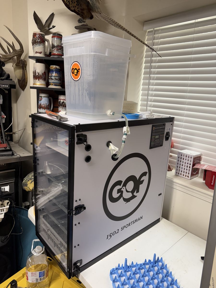 Incubator GQF & Hatcher