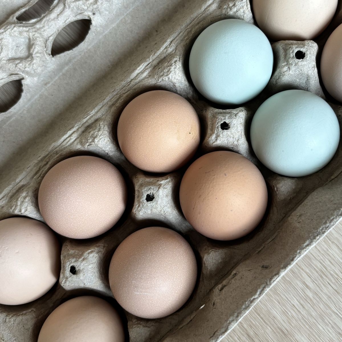 Fresh Chicken Eggs