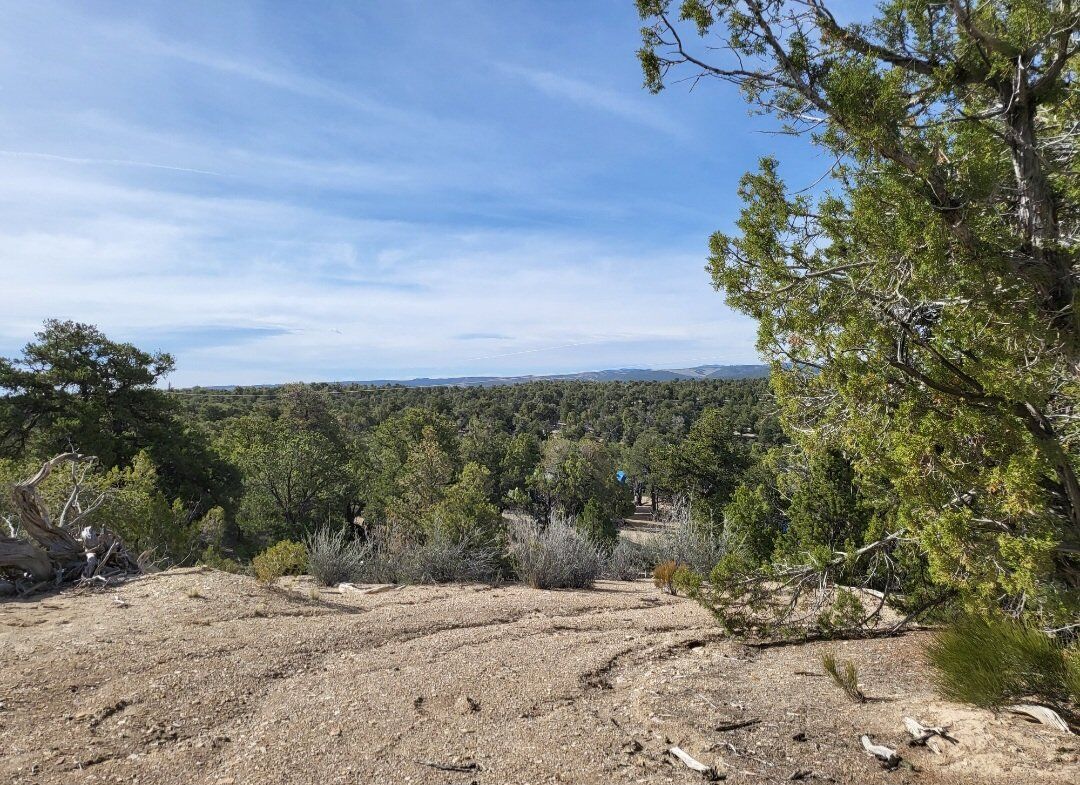 8 Pristine Acres. Motivated Seller