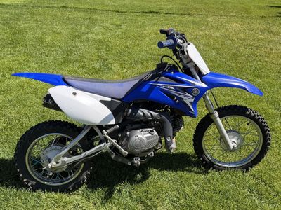 2009 Yamaha TTR 110E