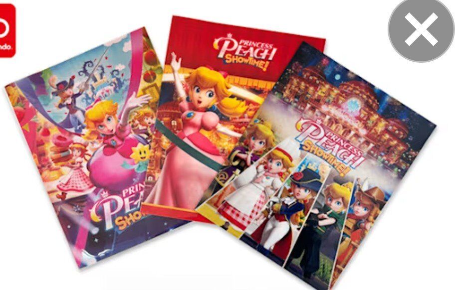 3 Princess Peach Showtime folders