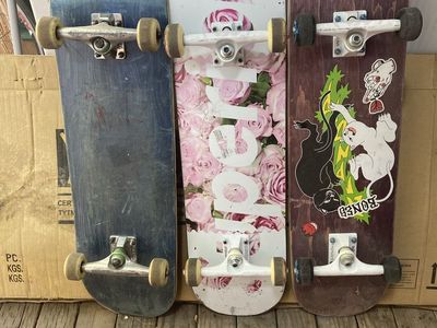 Lot of 3 Complete Used Skateboards with Thunder & Tensor Trucks, RIPNDIP Graphic