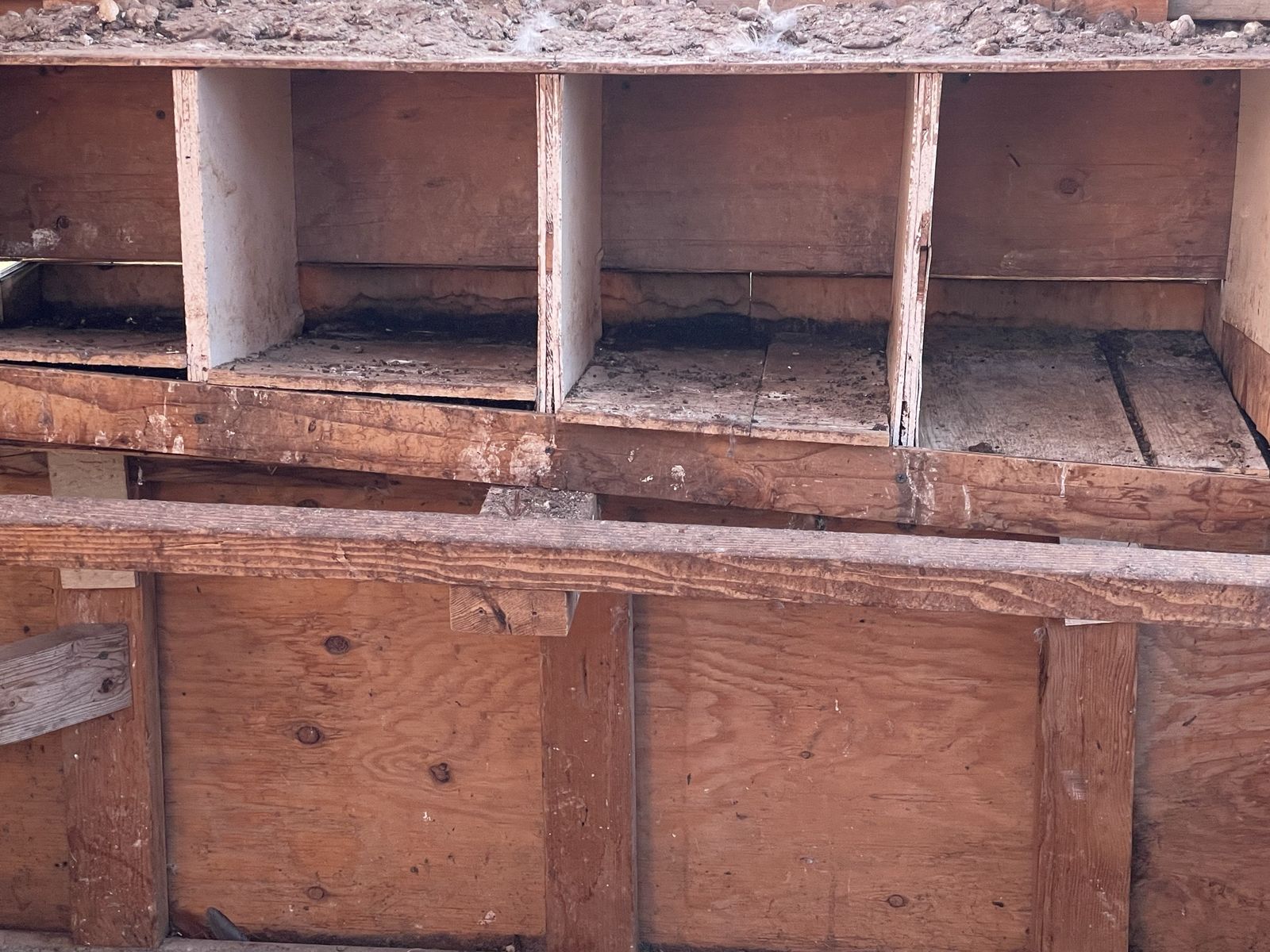 Main image 11