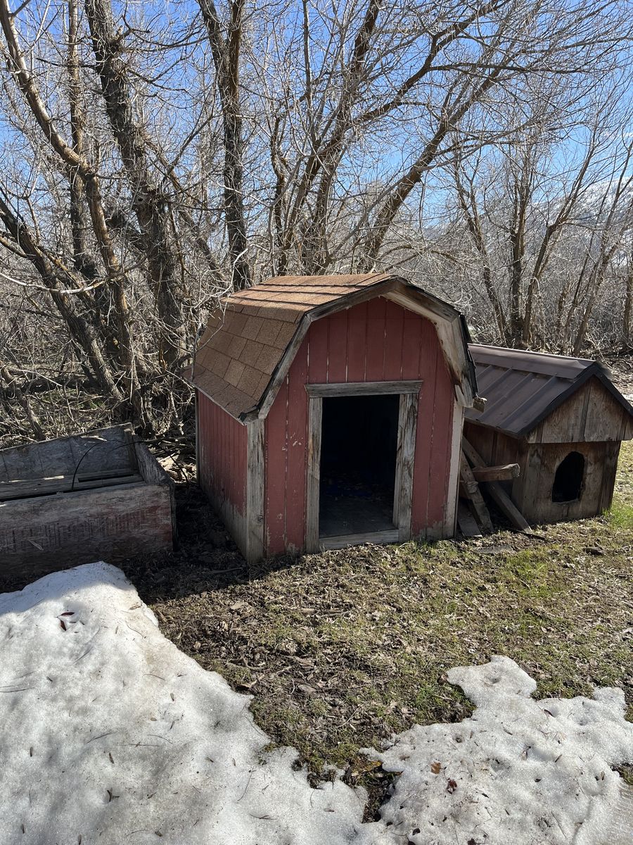 Used Goat or Dog House