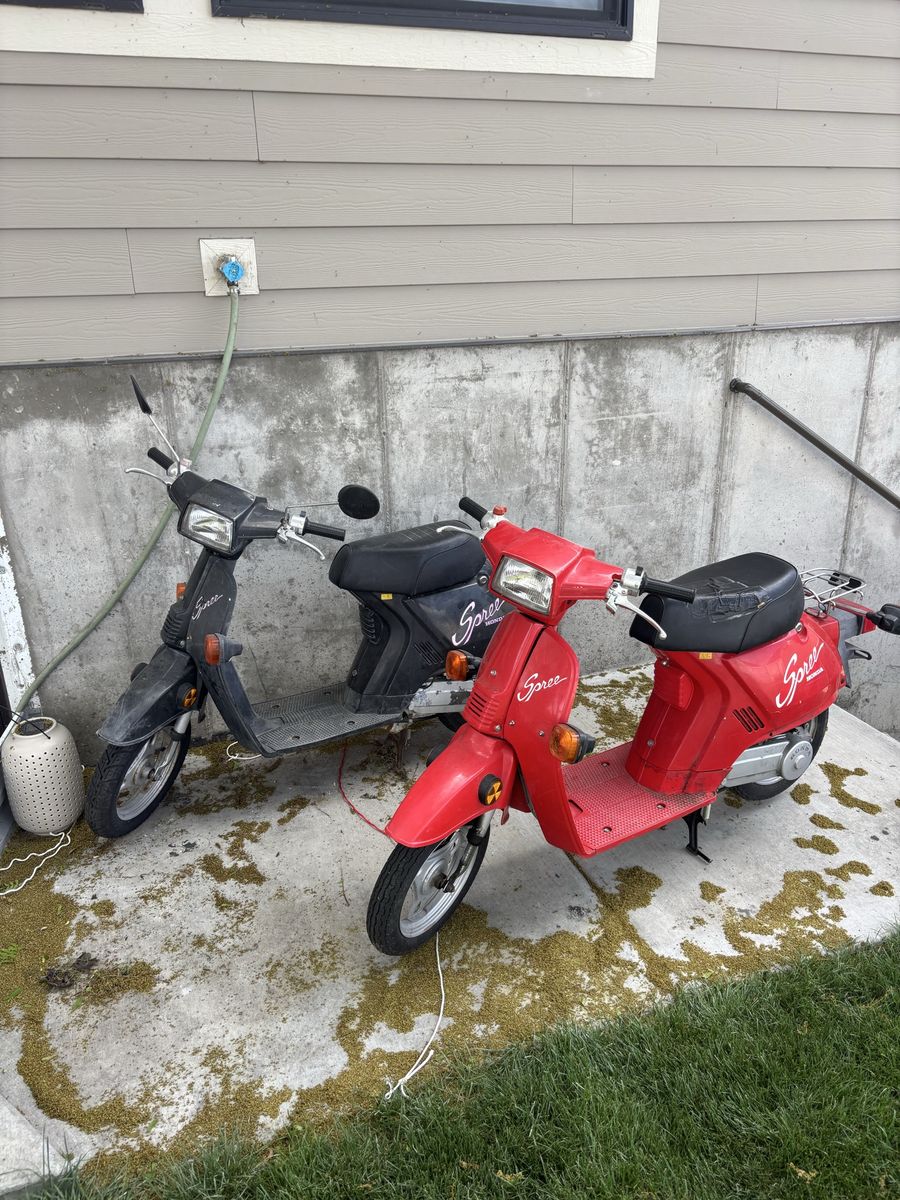 Honda Spree Motorycle