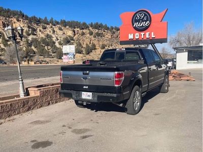 2009 FORD F150 Platinum