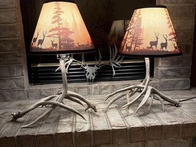 Antler Lamps