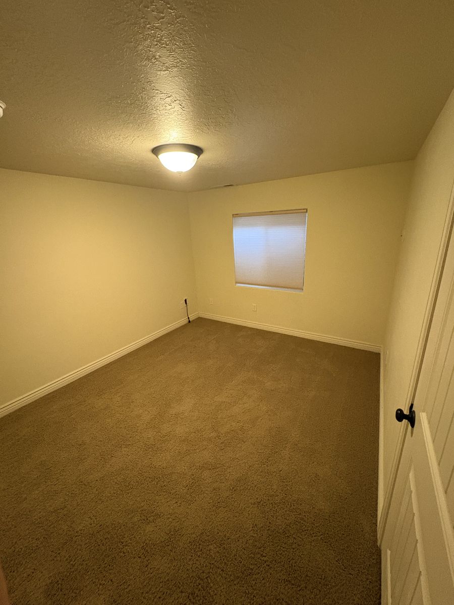 Main image 7
