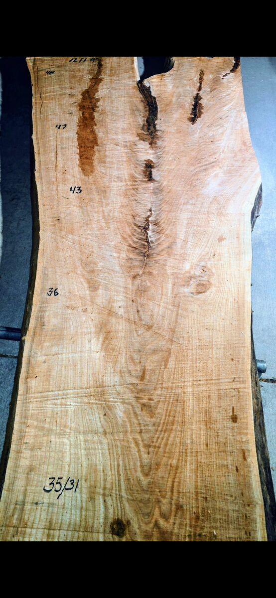 Gorgeous Live Edge Wood Slab 12.7 ft 48/36" wide