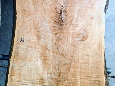 Gorgeous Live Edge Wood Slab 12.7 ft 48/36" wide