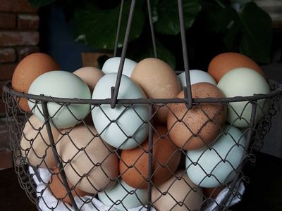 Unwashed Chicken Eggs