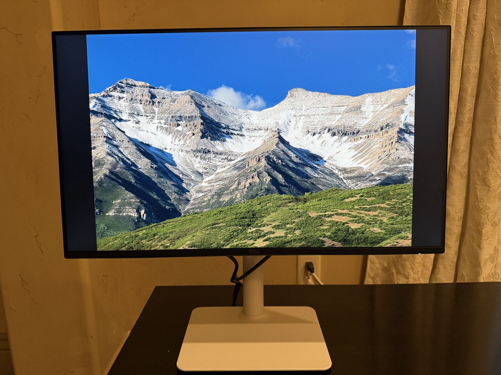 Dell 24 inch Monitor