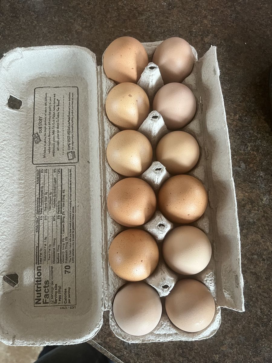 Cage Free Farm Eggs