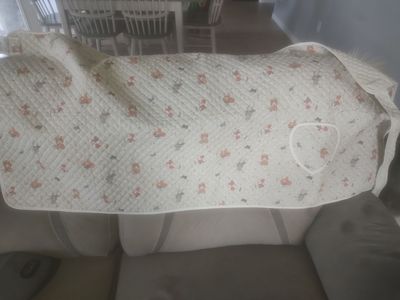 Nawanis Korean Traditional Baby carrier