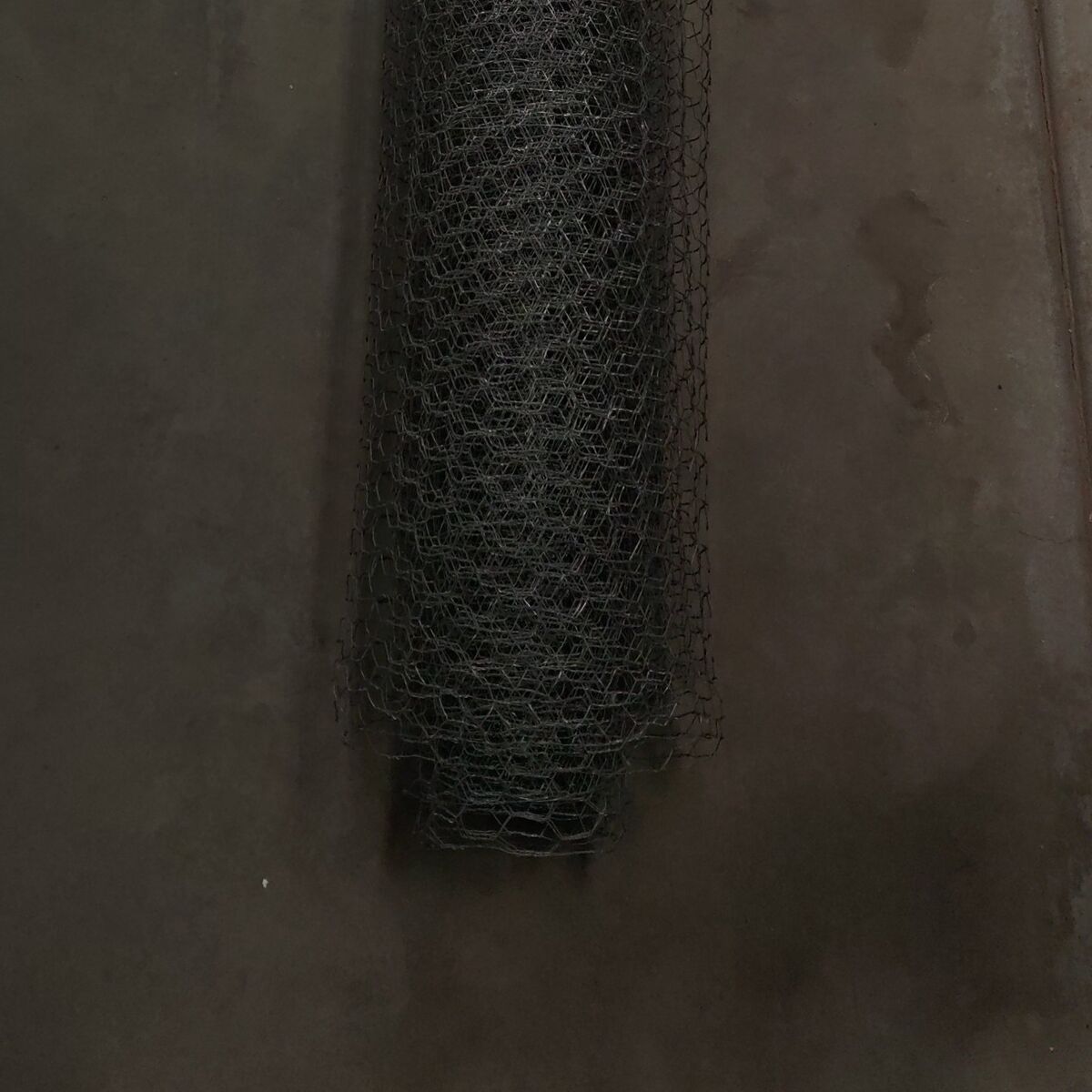 chicken wire ~80' x 4'