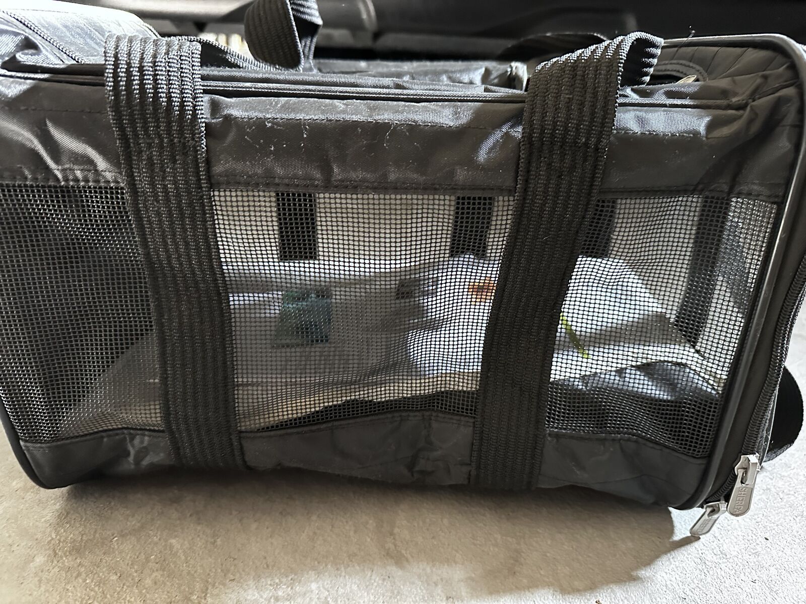Pet carrier
