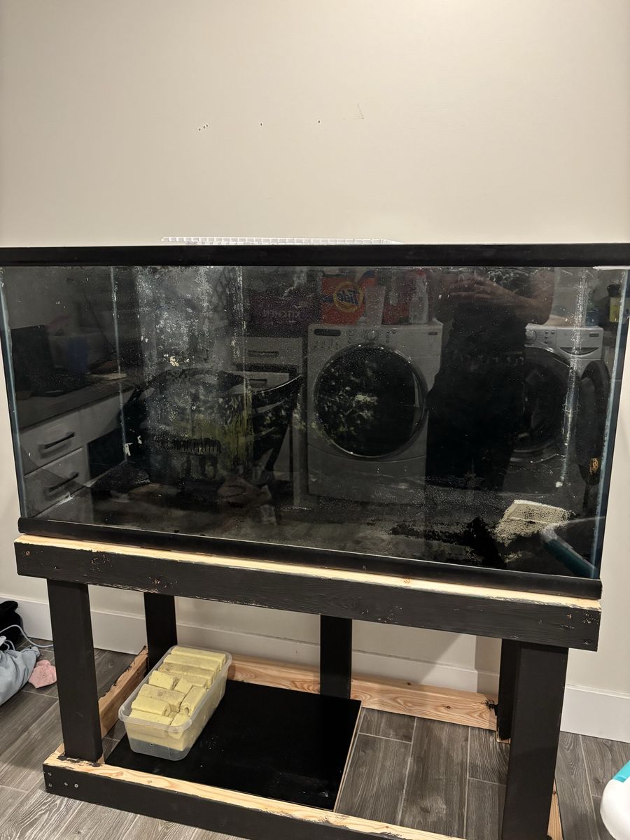 90 gallon with stand