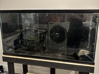 90 gallon with stand