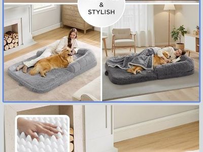 Human and/or Dog Bed and Chair