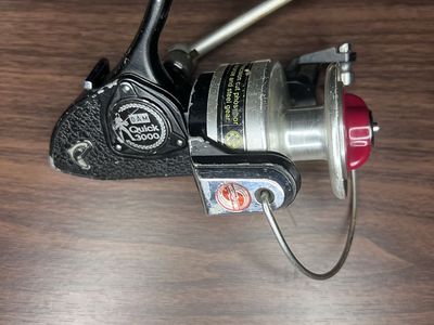 Reel Cleaning Service