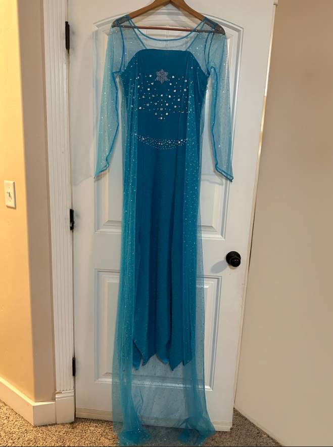 Princess Costume Elsa Dress Size Large Youth (14 Yr.)