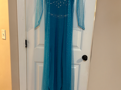 Princess Costume Elsa Dress Size Large Youth (14 Yr.)