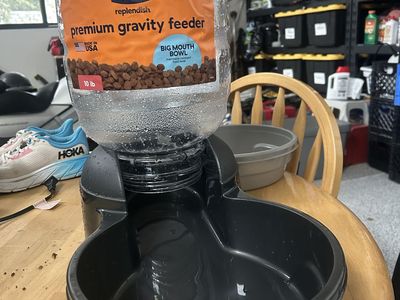Dog food feeder