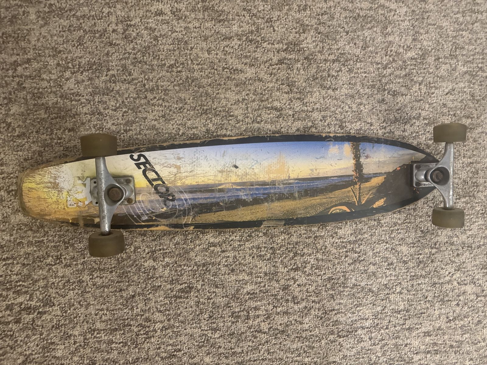 Sector 9 Longboard Skateboard - Used, Beach Graphic