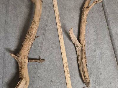 Large Aquarium Driftwood
