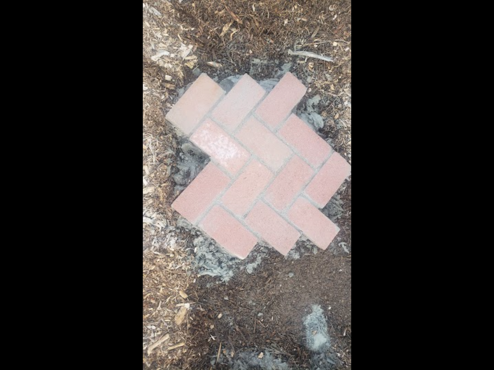 Main image 5