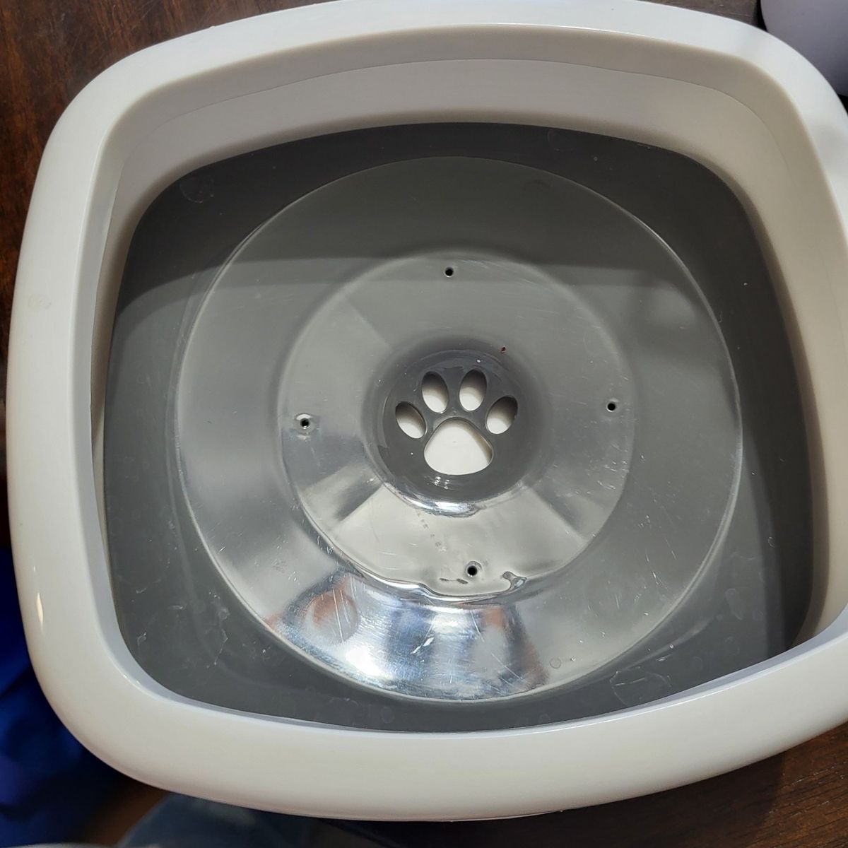 Spill prood Pet Water Dish