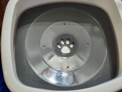 Spill prood Pet Water Dish