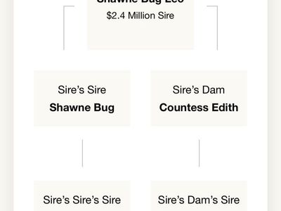 Shawnee Bug Leo x Dash Ta Fame daughter