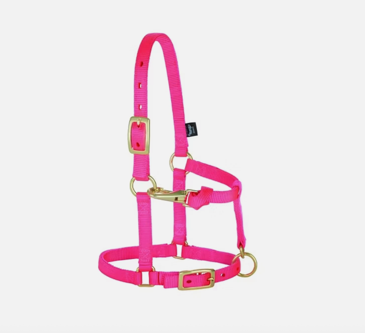 Weaver Equine Mini Horse Halter Diva Pink 5/8" Nylon Adjustable Mini Pony Halter
