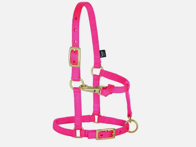 Weaver Equine Mini Horse Halter Diva Pink 5/8" Nylon Adjustable Mini Pony Halter