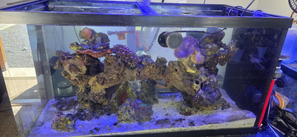 120g peninsula tank with rock arch and coral/fish