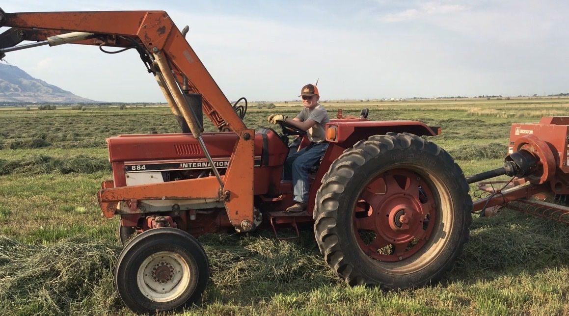 Farm tractor International 884