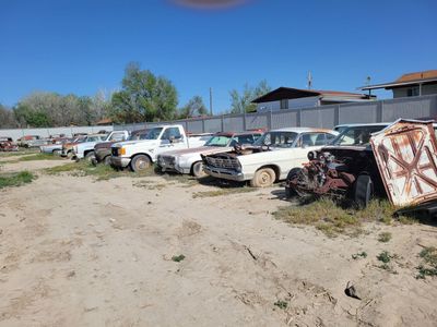 Classic cars and trucks