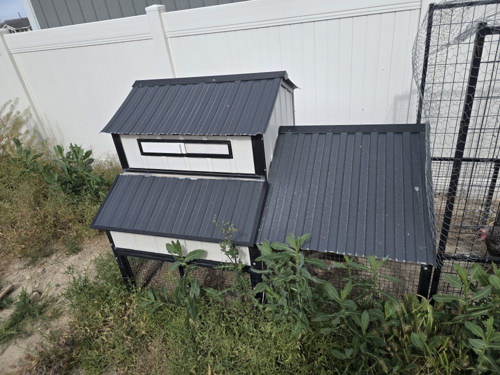 Chickens/Coop/Supplies